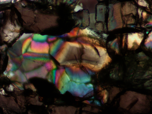 �V���@΢Ч���D